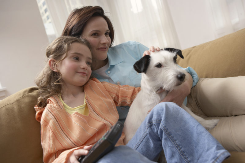 Limit Pet Allergies With a Whole-Home Air Purifier